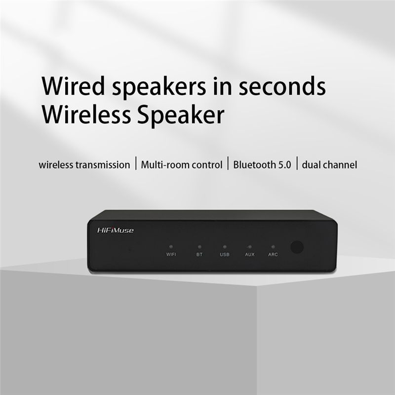 Hifimuse R20 Wireless Wifi Blu - Audio Music Spotify review and price